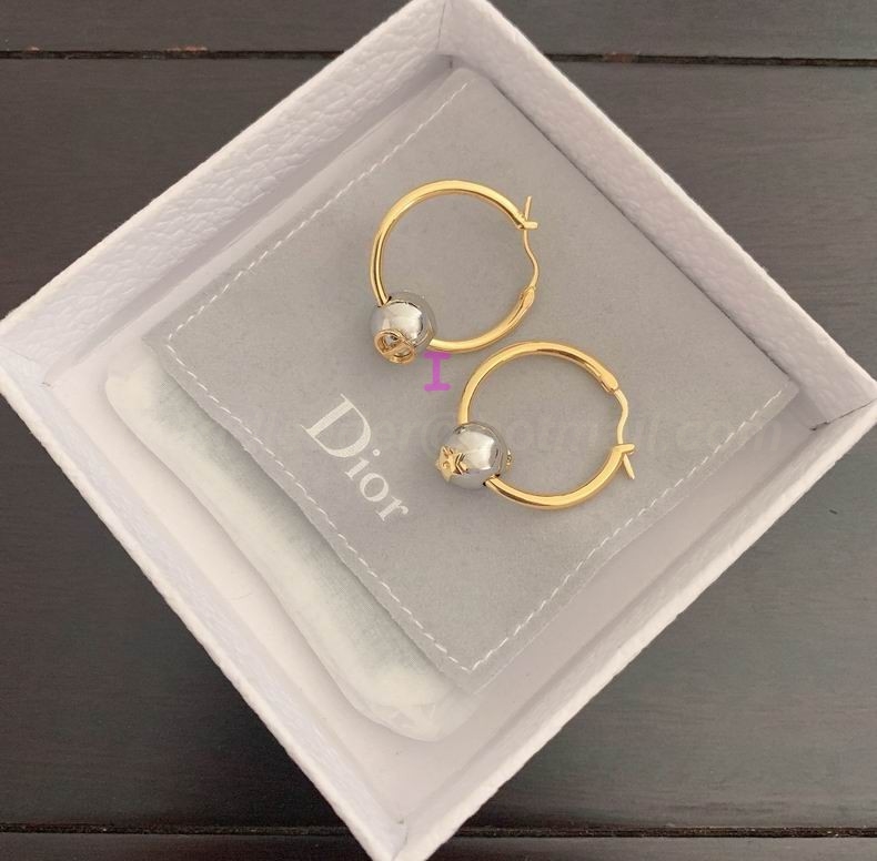 DIOR Earrings 300